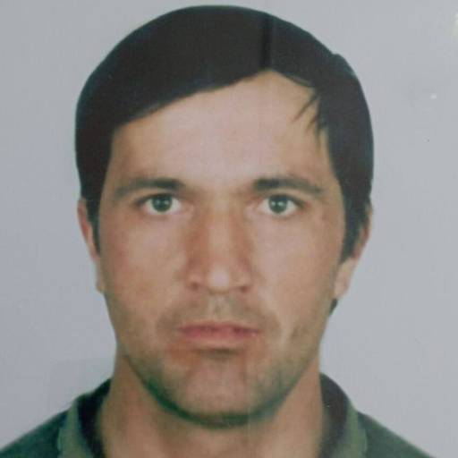 Дмитрий Куликов
