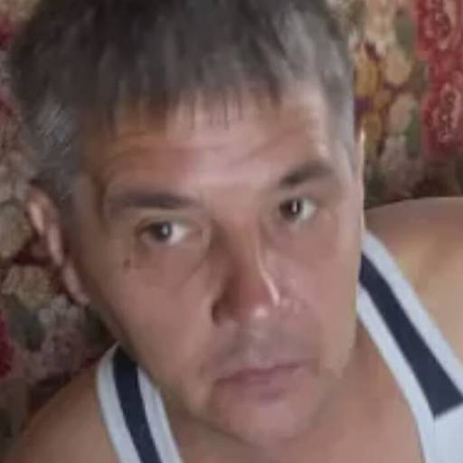 Дмитрий Алиметов